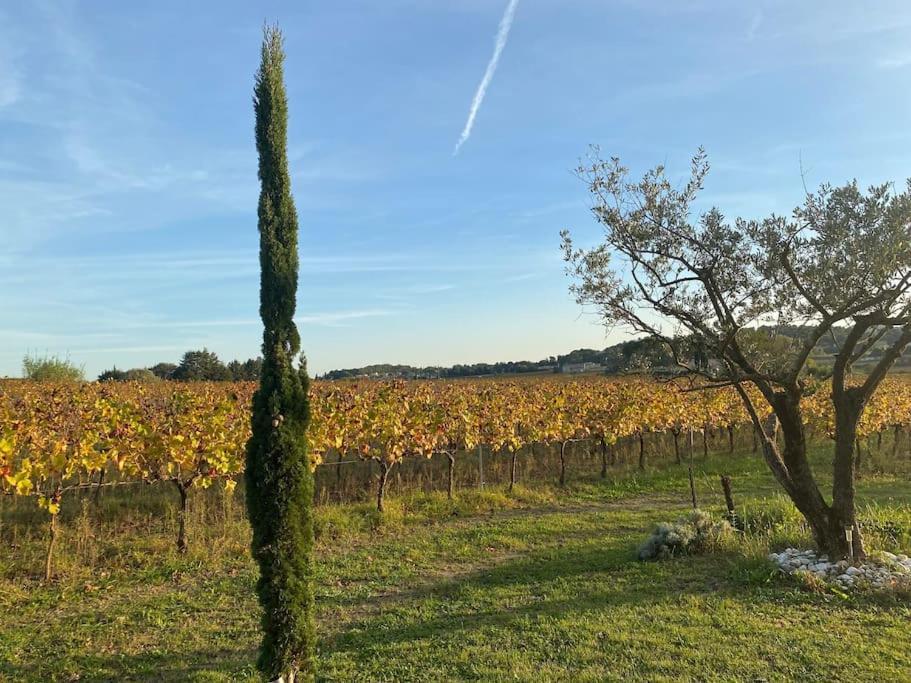 Villa L'Atelier De La Bergerie - L' Ardeche - Via Rhona Pont-Saint-Esprit Exterior foto